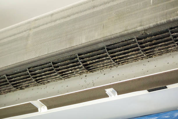 Best Dryer Vent Cleaning Services  in Tyrone, OK